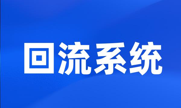 回流系统