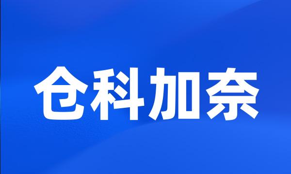 仓科加奈