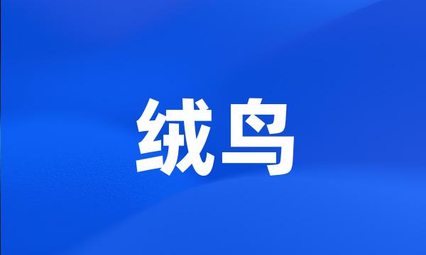 绒鸟