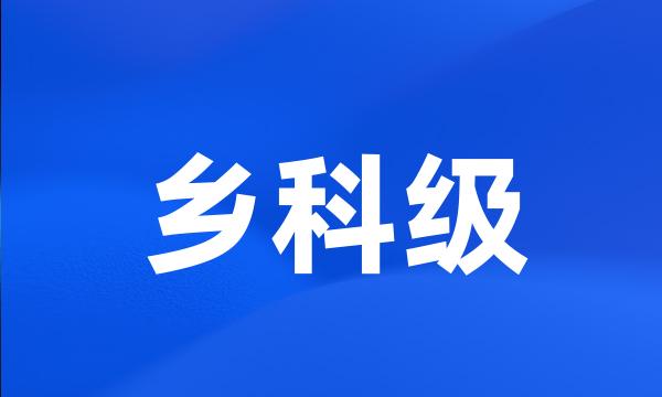 乡科级