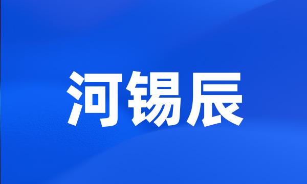 河锡辰