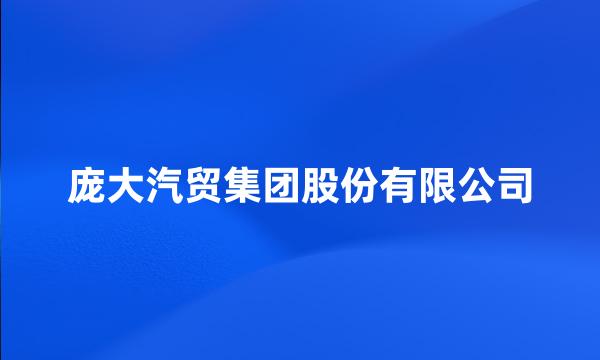 庞大汽贸集团股份有限公司