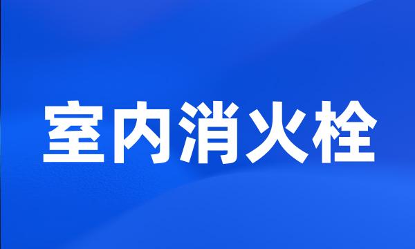 室内消火栓