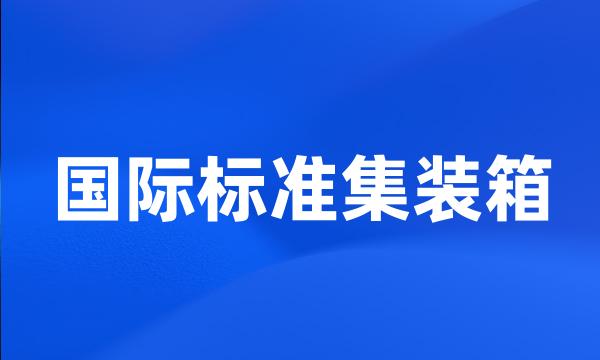 国际标准集装箱