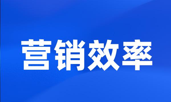 营销效率