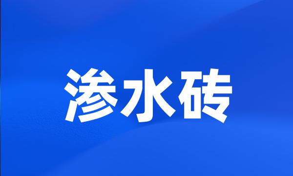 渗水砖