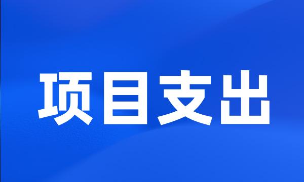 项目支出