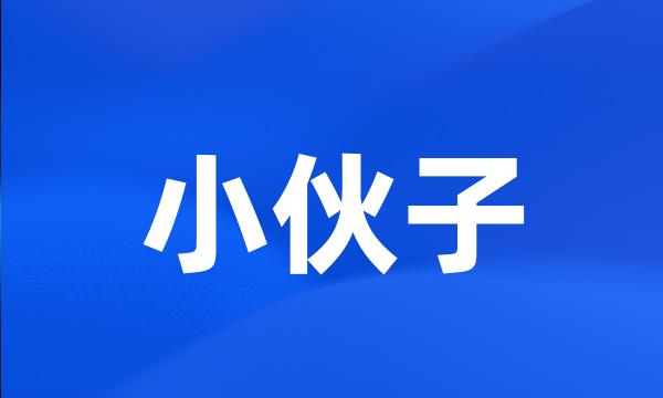 小伙子