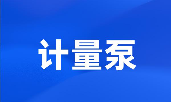 计量泵