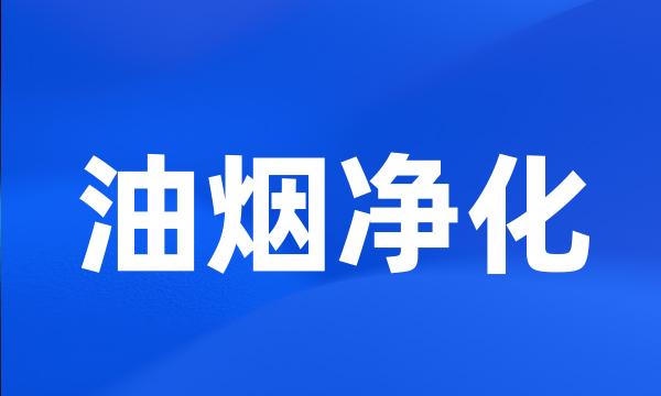 油烟净化