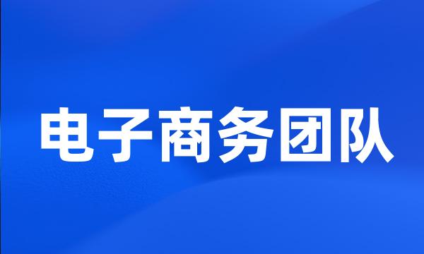 电子商务团队