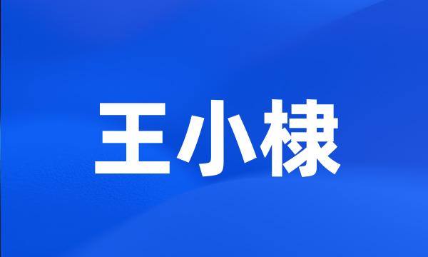 王小棣