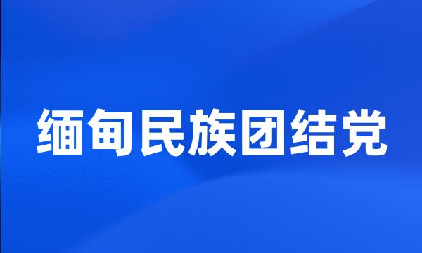 缅甸民族团结党