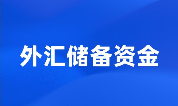 外汇储备资金