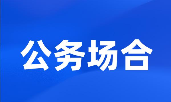 公务场合