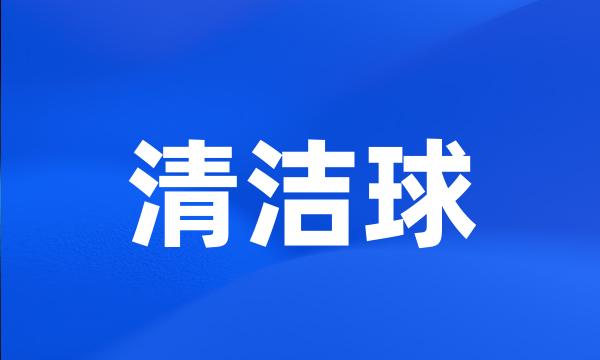 清洁球