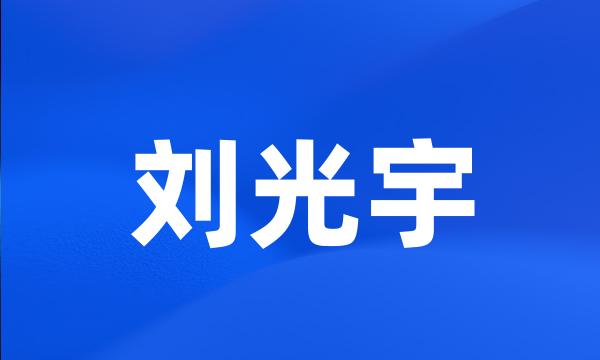 刘光宇