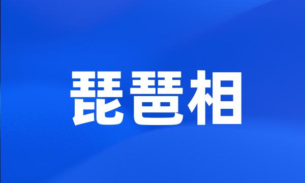 琵琶相