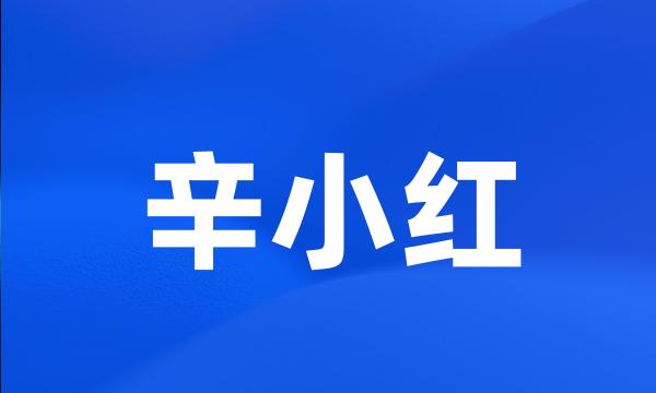 辛小红