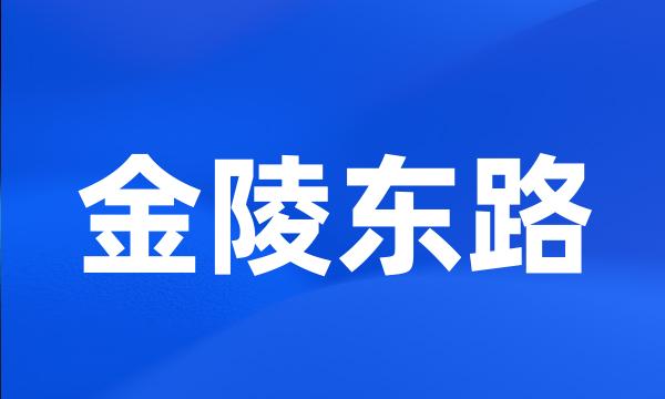 金陵东路