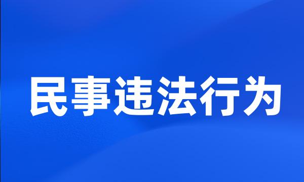 民事违法行为