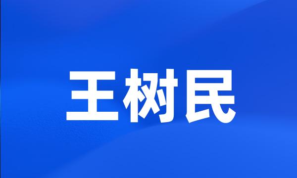 王树民