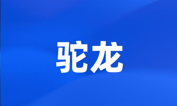 驼龙