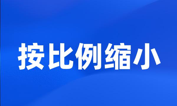 按比例缩小