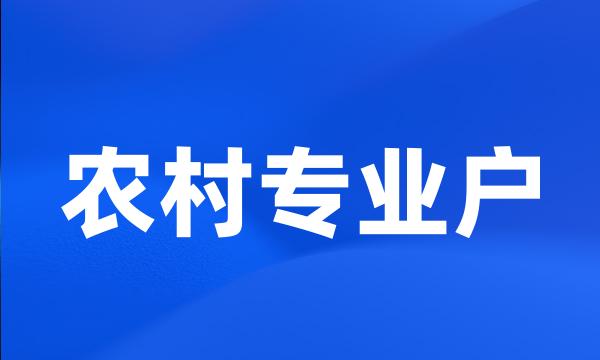 农村专业户