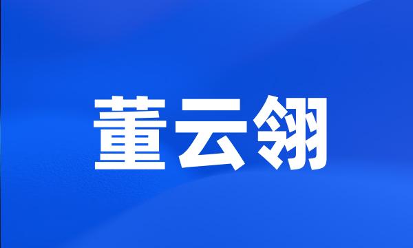 董云翎