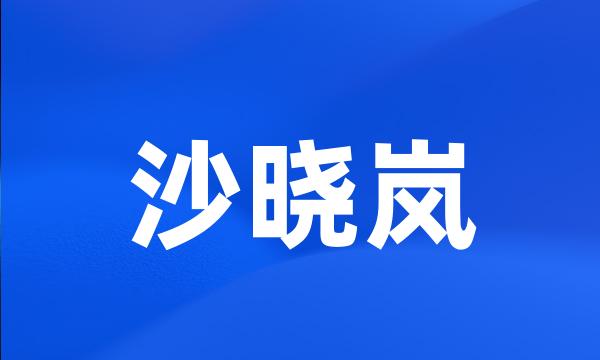 沙晓岚