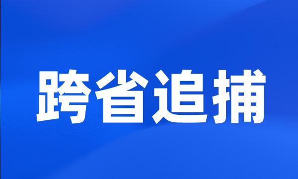 跨省追捕