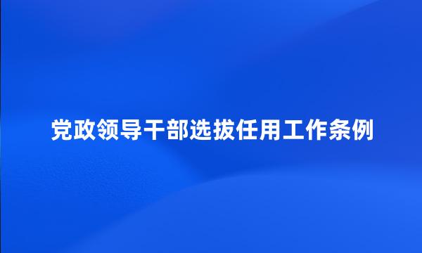 党政领导干部选拔任用工作条例