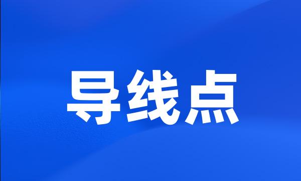 导线点