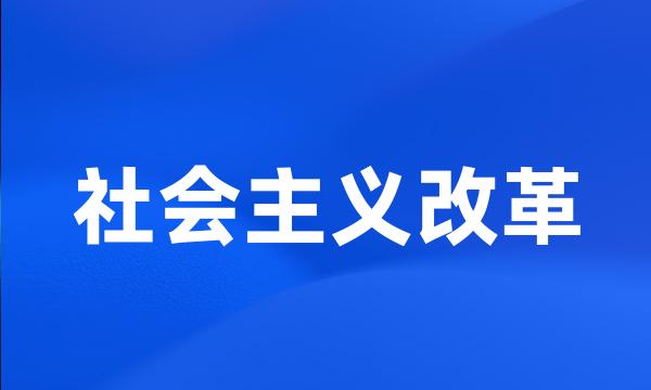 社会主义改革