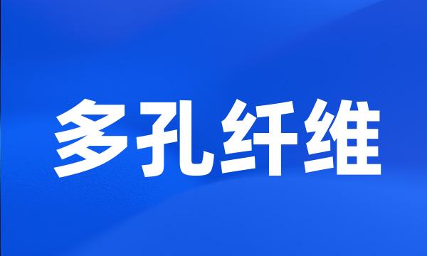 多孔纤维