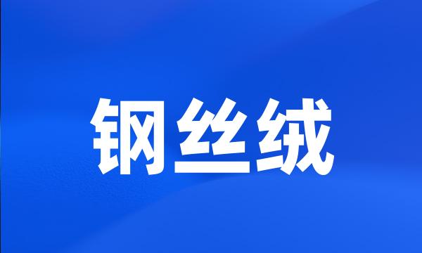 钢丝绒