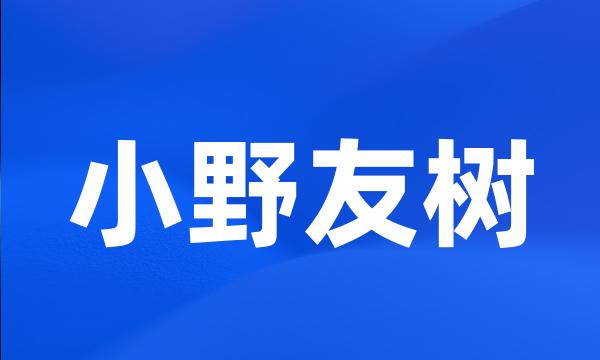 小野友树