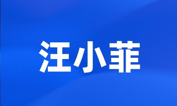 汪小菲