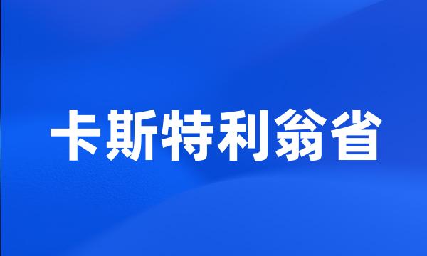 卡斯特利翁省