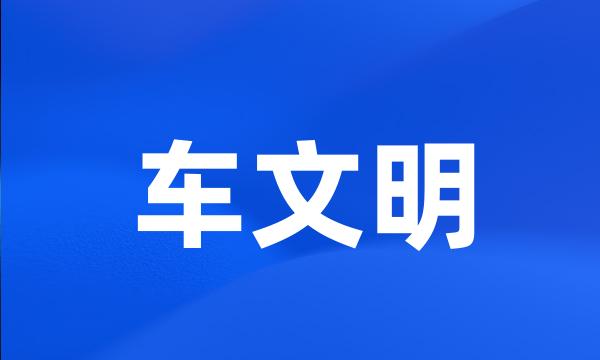 车文明