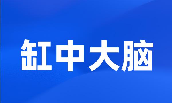 缸中大脑