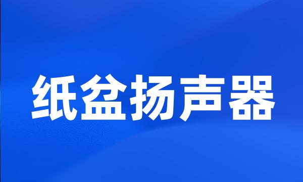 纸盆扬声器