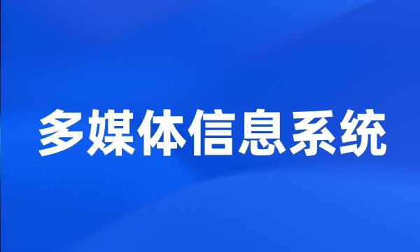 多媒体信息系统