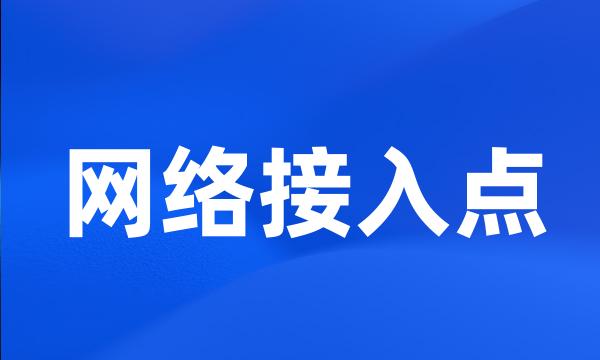 网络接入点