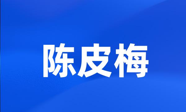 陈皮梅