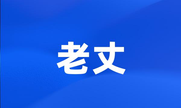 老丈