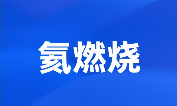 氦燃烧