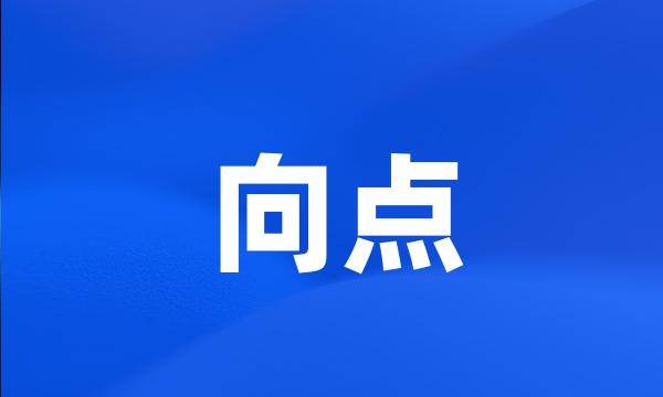 向点