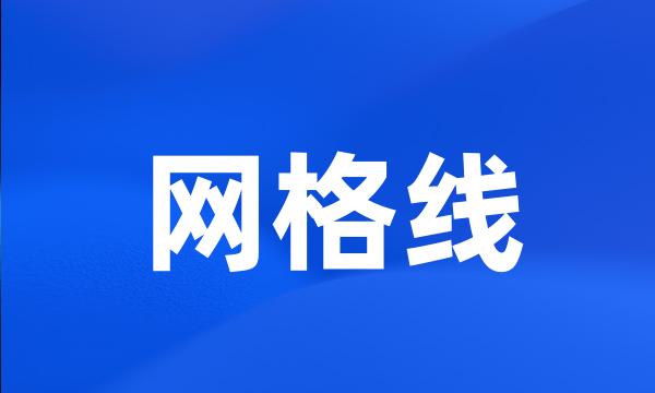 网格线